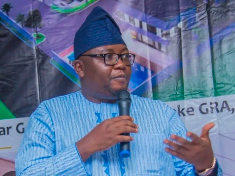 Nigeria Will Generate 6,000MW Of Electricity By December - Adelabu