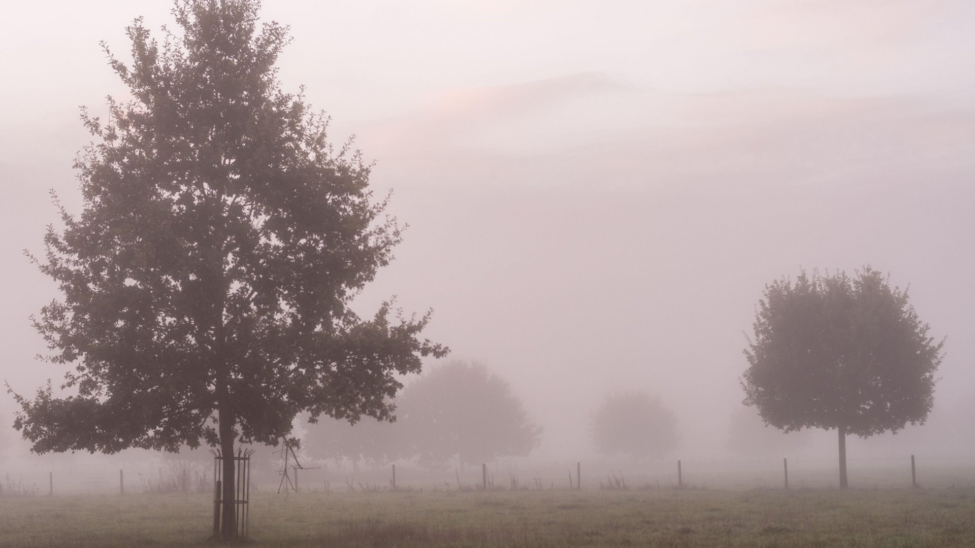 UK weather: Met Office reveals Halloween weekend weather forecast as pockets of drizzle coming - is your area clear?