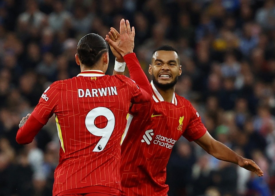 Cody Gakpo high-fives Darwin Nunez after equalising