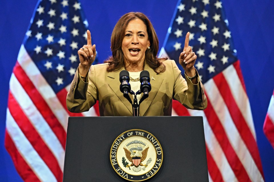 Current Vice President Kamala Harris is looking to extend her stay in office for another term