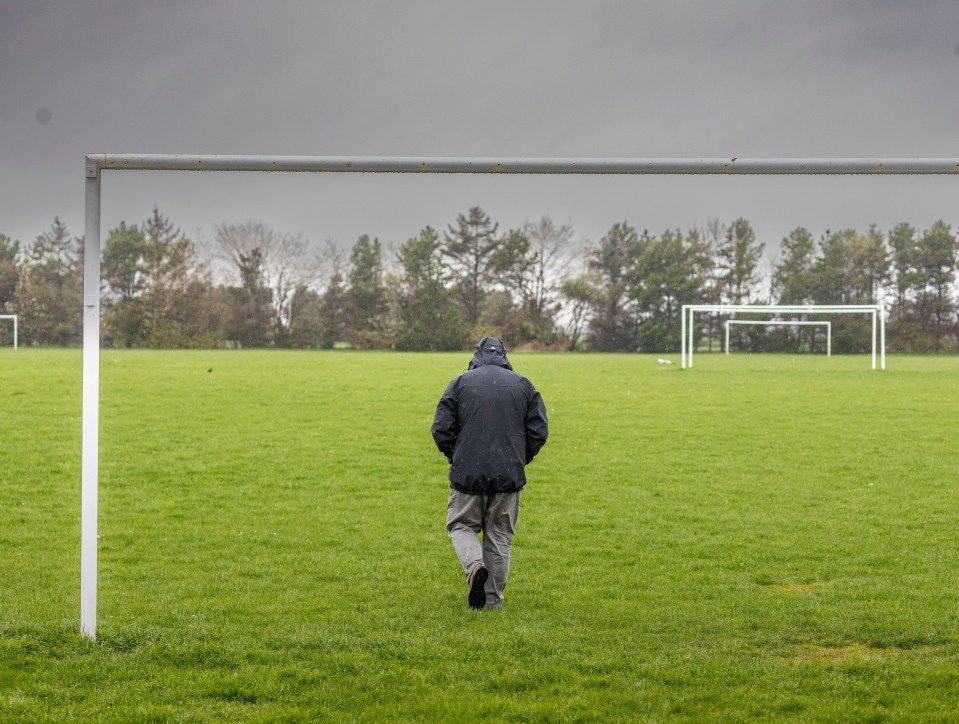 The pitches could soon be used by Dundee's first team as well as women's and youth football for hundreds of players