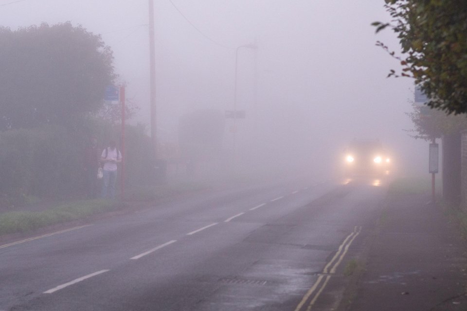 Misty conditions on the road in the New Forest last month