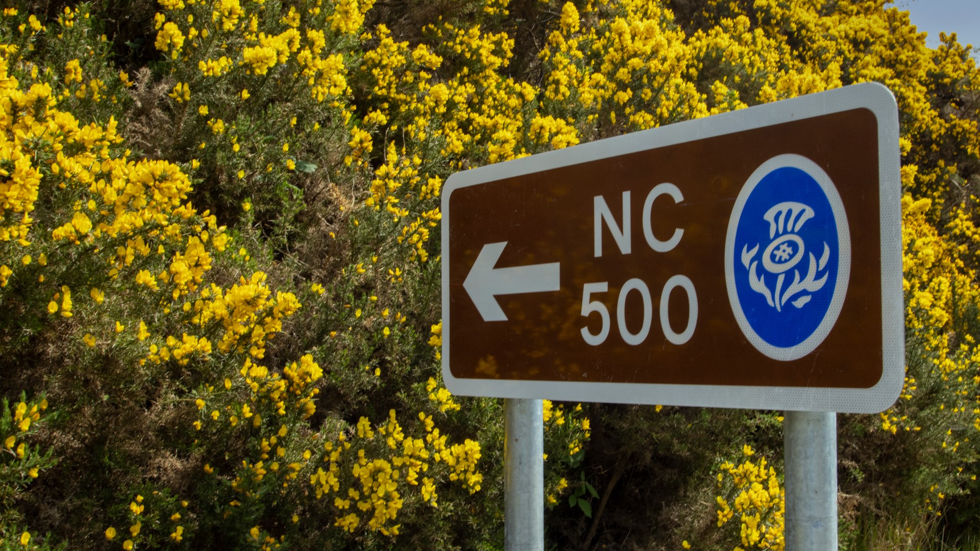 NC500 visitors face being slapped with extra tourist tax under new council plans