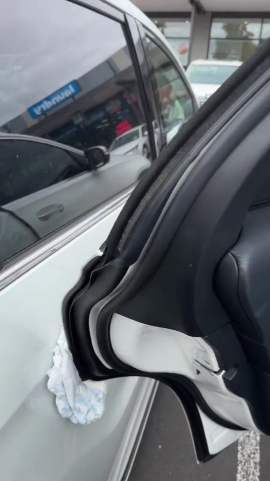 The mum used a clean nappy protect her car and the one parked next to it