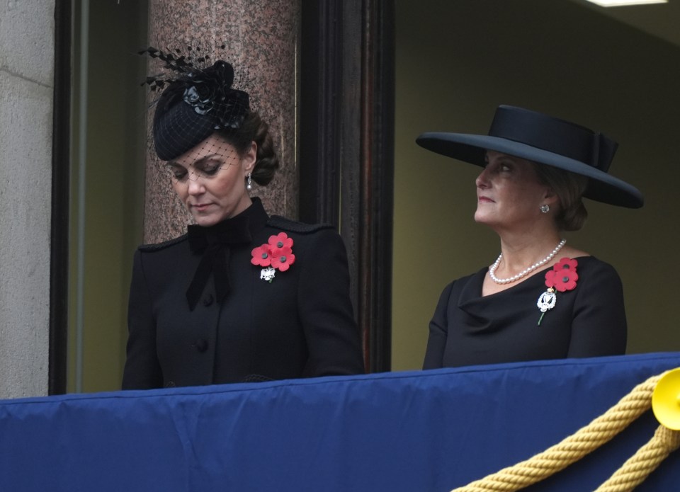 Princess Kate, pictured, has worn three poppies at several Remembrance Day ceremonies