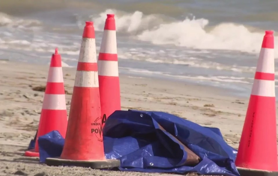 A worker who was raking Miami Beach saw the head