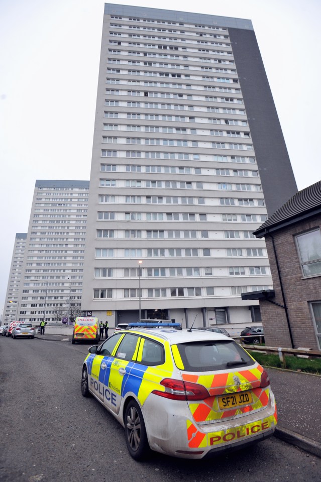 Robertson carried out the knife murder at flats in Thornliebank, near Glasgow