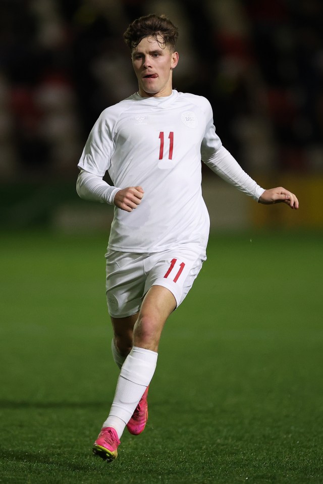 The striker played alongside Matt O'Riley in Denmark's under-21s (above)