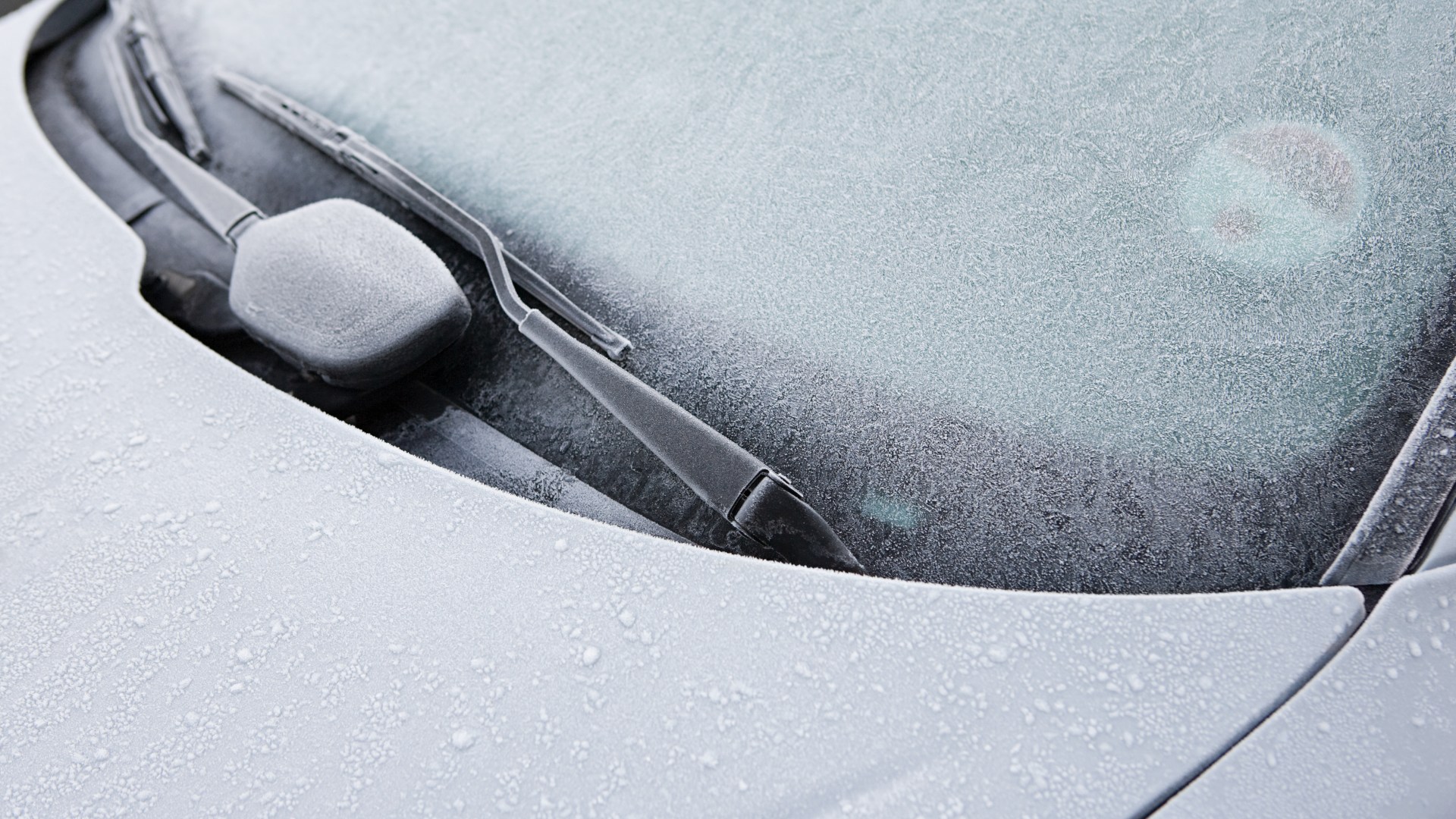 How £1 B&M buy can protect your windscreen from £100s in damage - as cold snap set to hit UK this WEEK