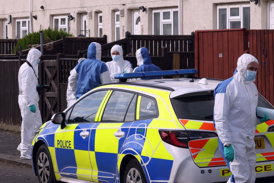 Forensic officers at the scene last year