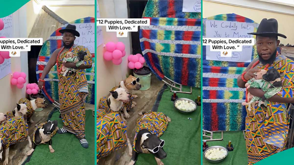 Nigerian Man Organises Dedication Ceremony for His 12 Puppies, Wears Them Matching Ankara Outfits