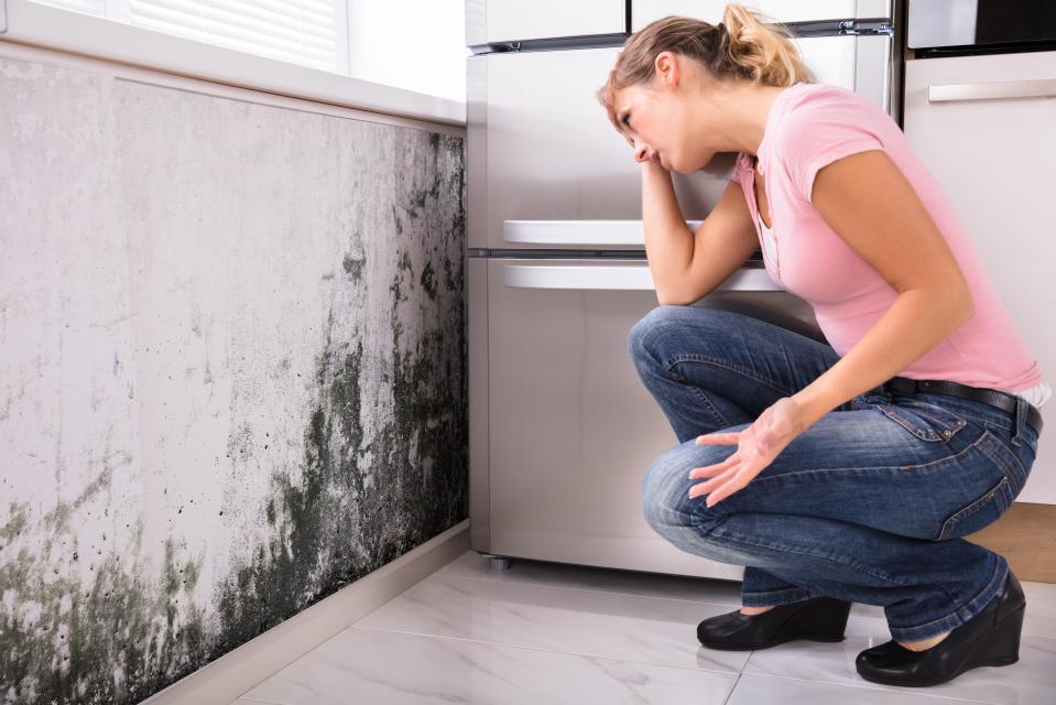 But if it's already too late, a 35p item can help tackle mould