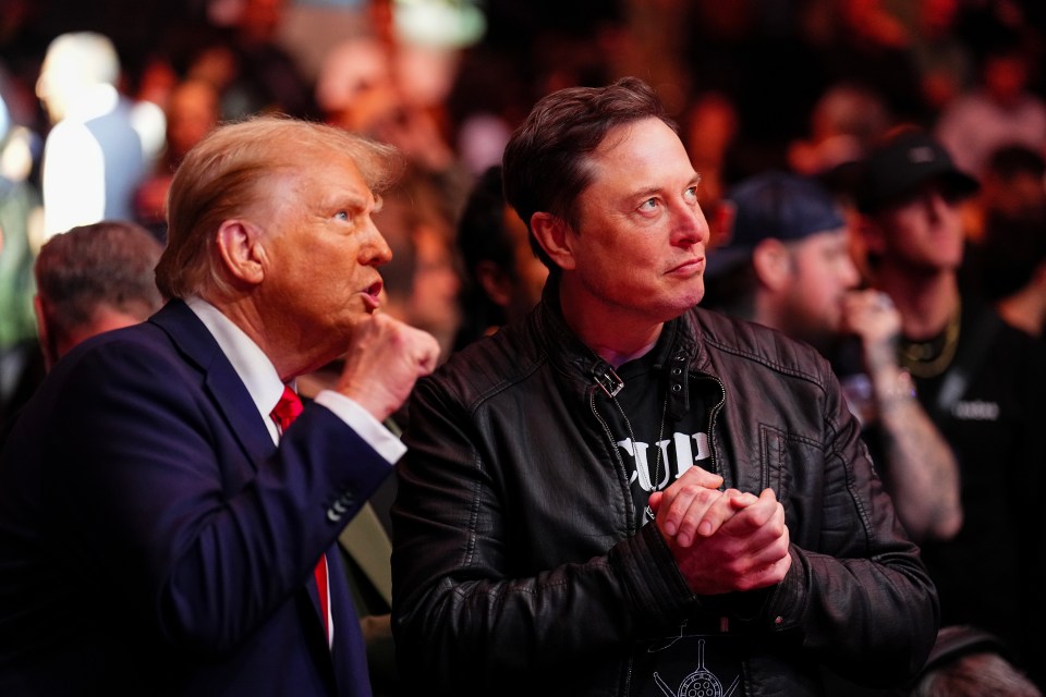 Elon Musk has risen the ranks and joined Trump's top team