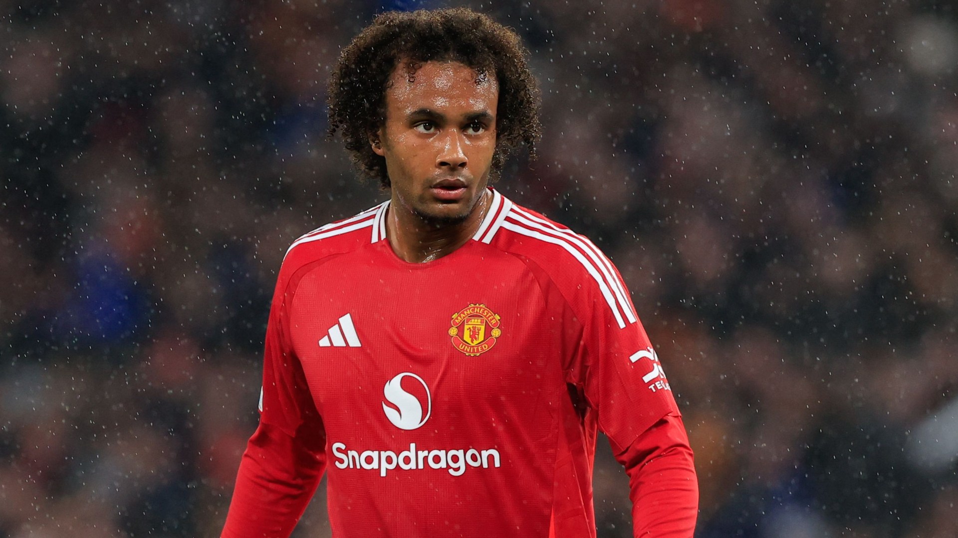 Joshua Zirkzee's Man Utd career 'could be over within six months' as Red Devils explore shock swap transfer