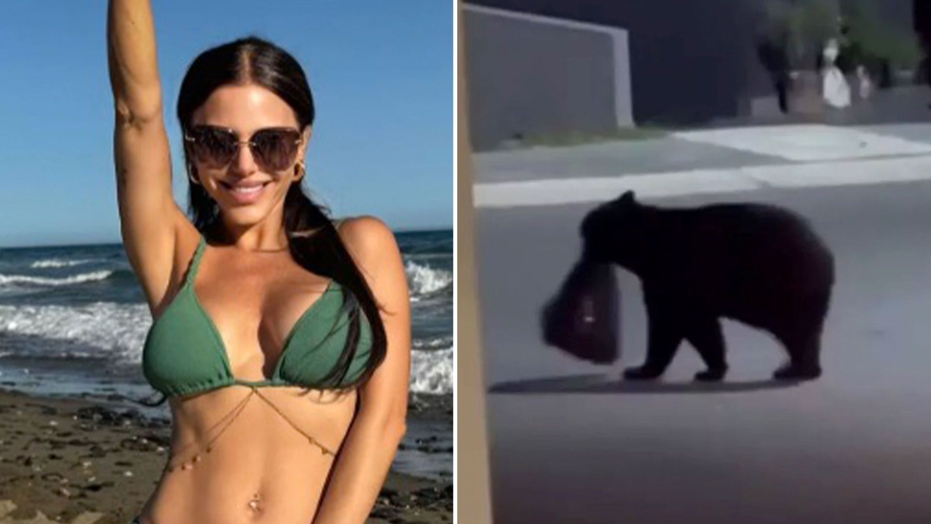 Stunning former Premier League Wag left shocked as she watches huge bear raiding her bins