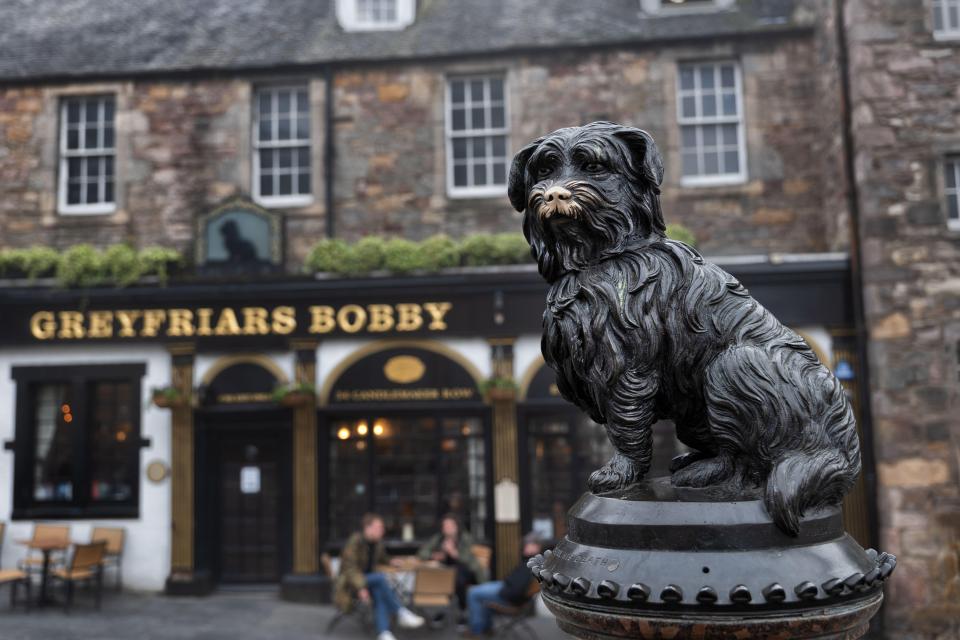 The programme looks into the history of dogs like Greyfriars Bobby