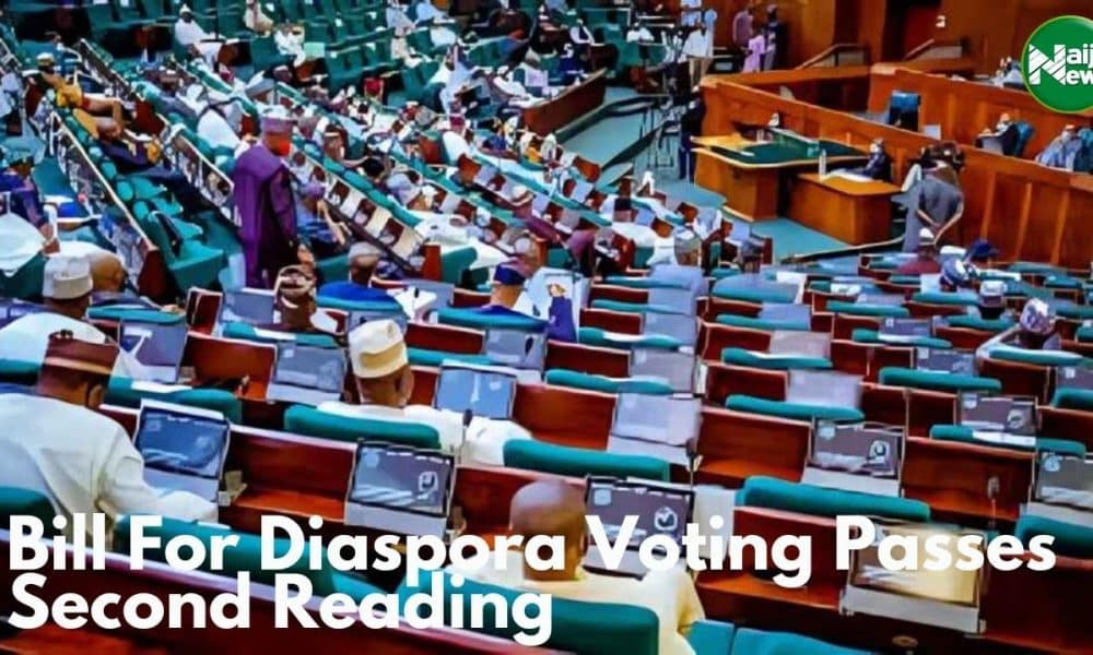 House Of Reps: Bill For Diaspora Voting Passes Second Reading