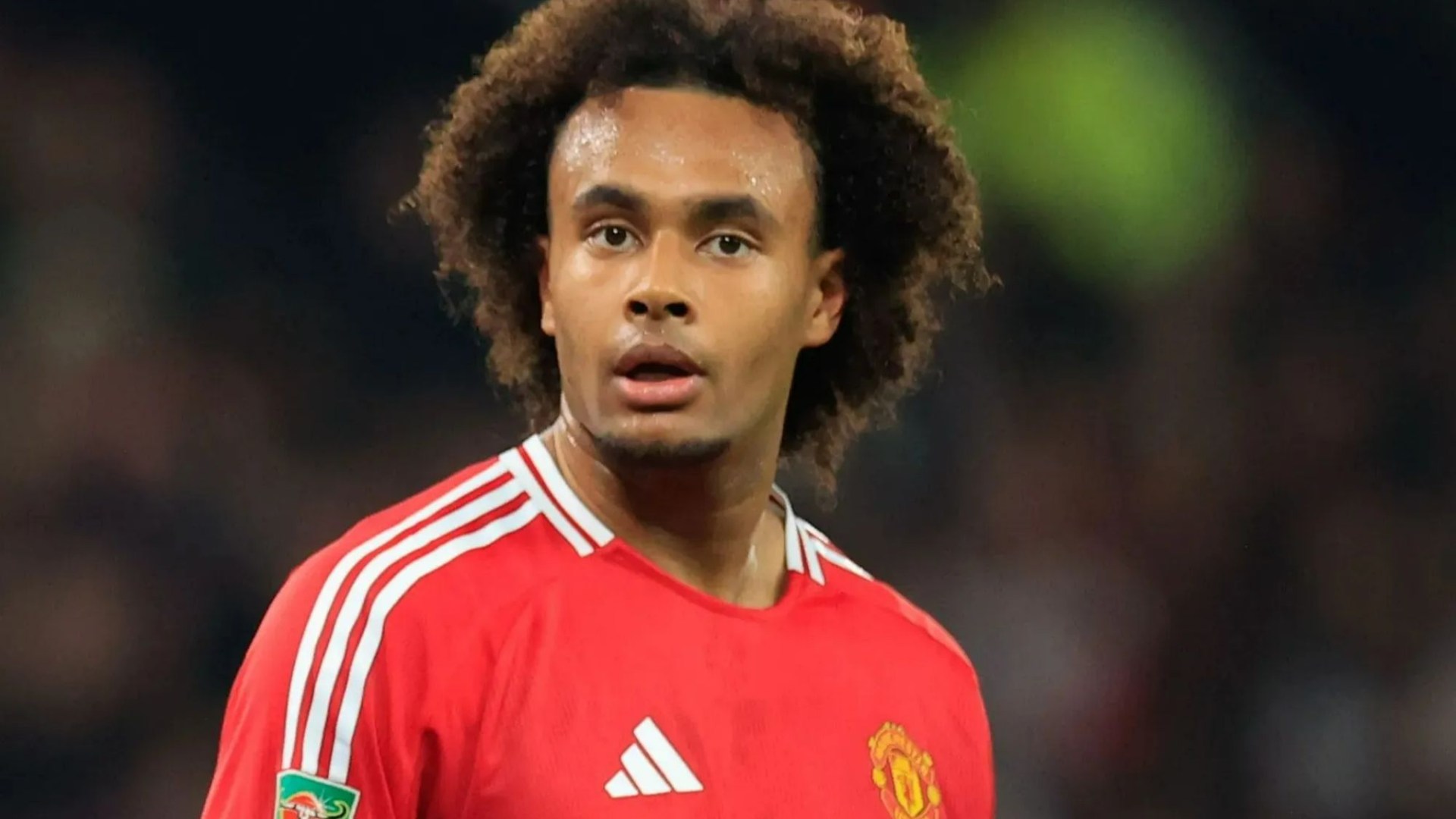 Joshua Zirkzee 'would gladly go back to Italy' after Man Utd struggles just months after transfer with Juventus keen