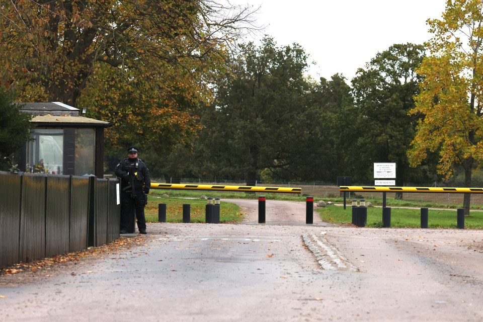 Fleeing thieves used a stolen truck to smash their way through a Windsor Castle security gate