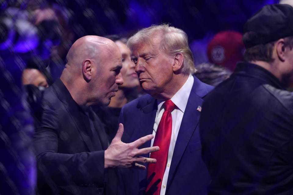 White and the UFC played a significant role in helping Trump win the election