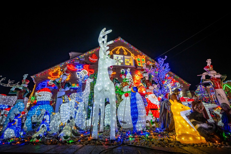 Every year the couple completely cover their house in Christmas lights in a bid to raise money for charity