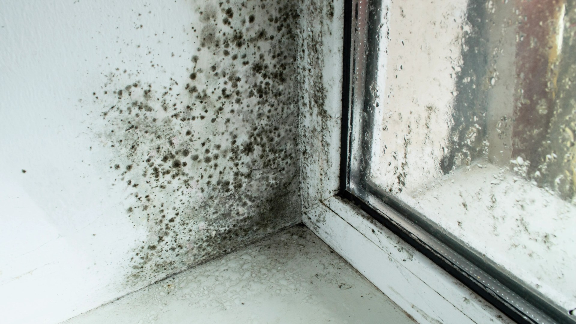 I'm an interior expert - the perfect temperature to keep your home to prevent condensation