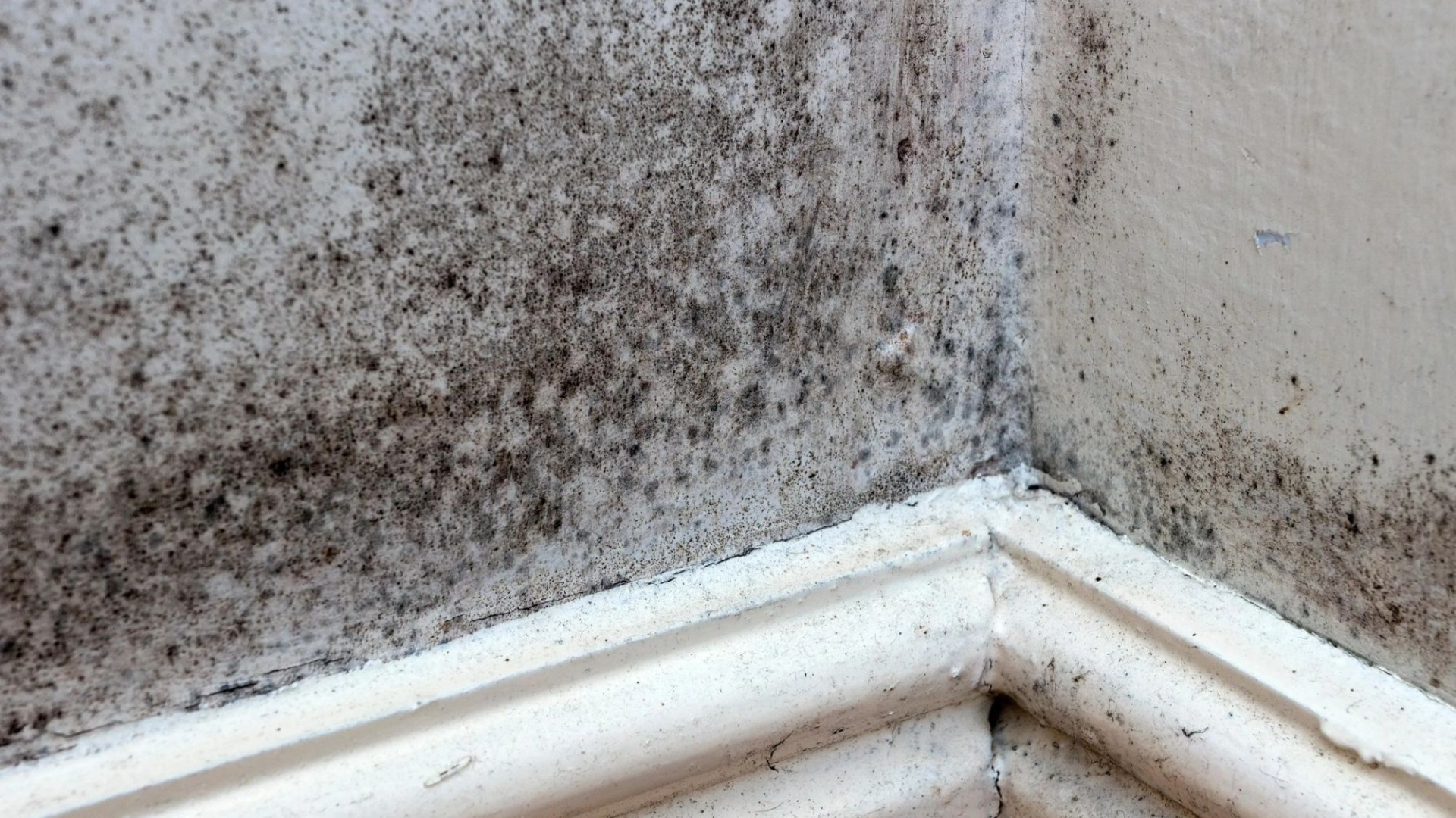 The simple home hack to stop mould from ever coming back, according to Brits who have tried and tested it