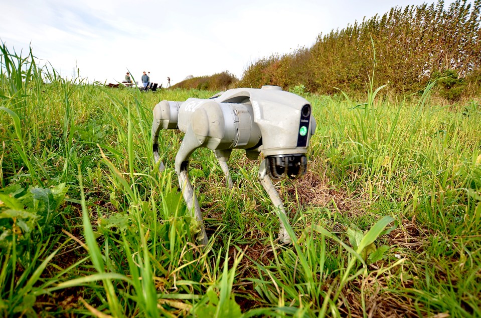 Robot dogs could help farmers more quickly assess the health of soil, scientists hope as a technology trial takes place in Cornwall