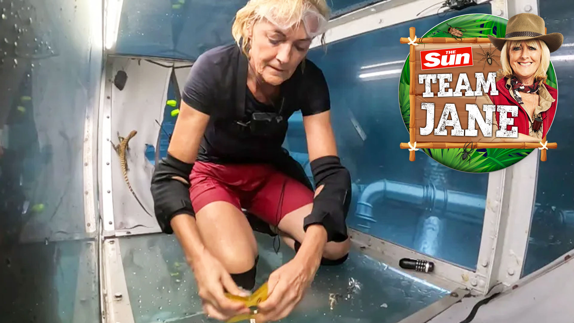 I'm A Celebrity hosts back Jane Moore to do MORE Bushtucker Trials to show off her strength