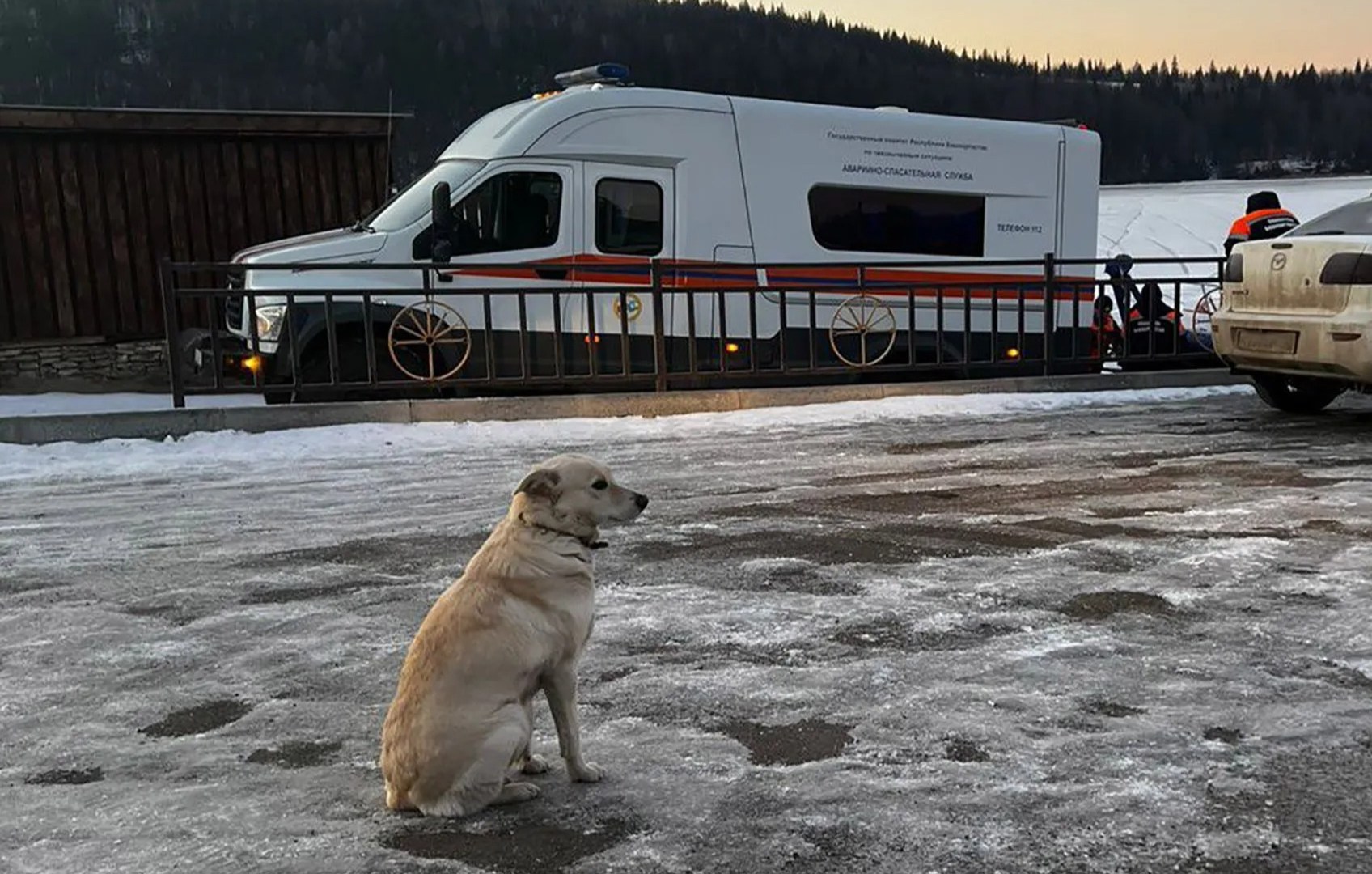 Heartbreaking moment loyal dog waits for FOUR DAYS for return of owner who’d fallen through ice and drowned