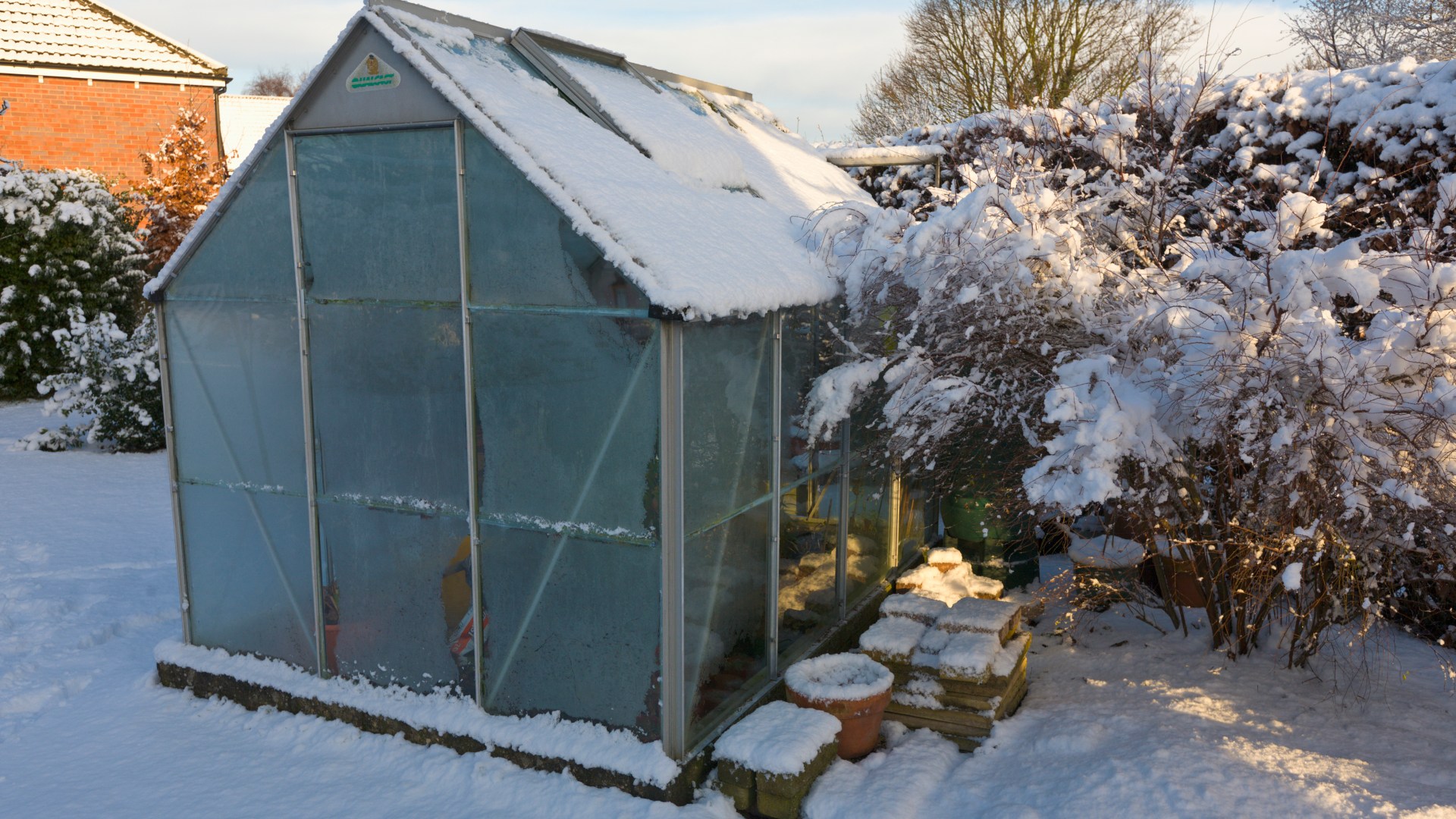 The unlikely £1.50 vegetable you need to pick up now to de-ice your garden - and it won’t harm your decking or grass