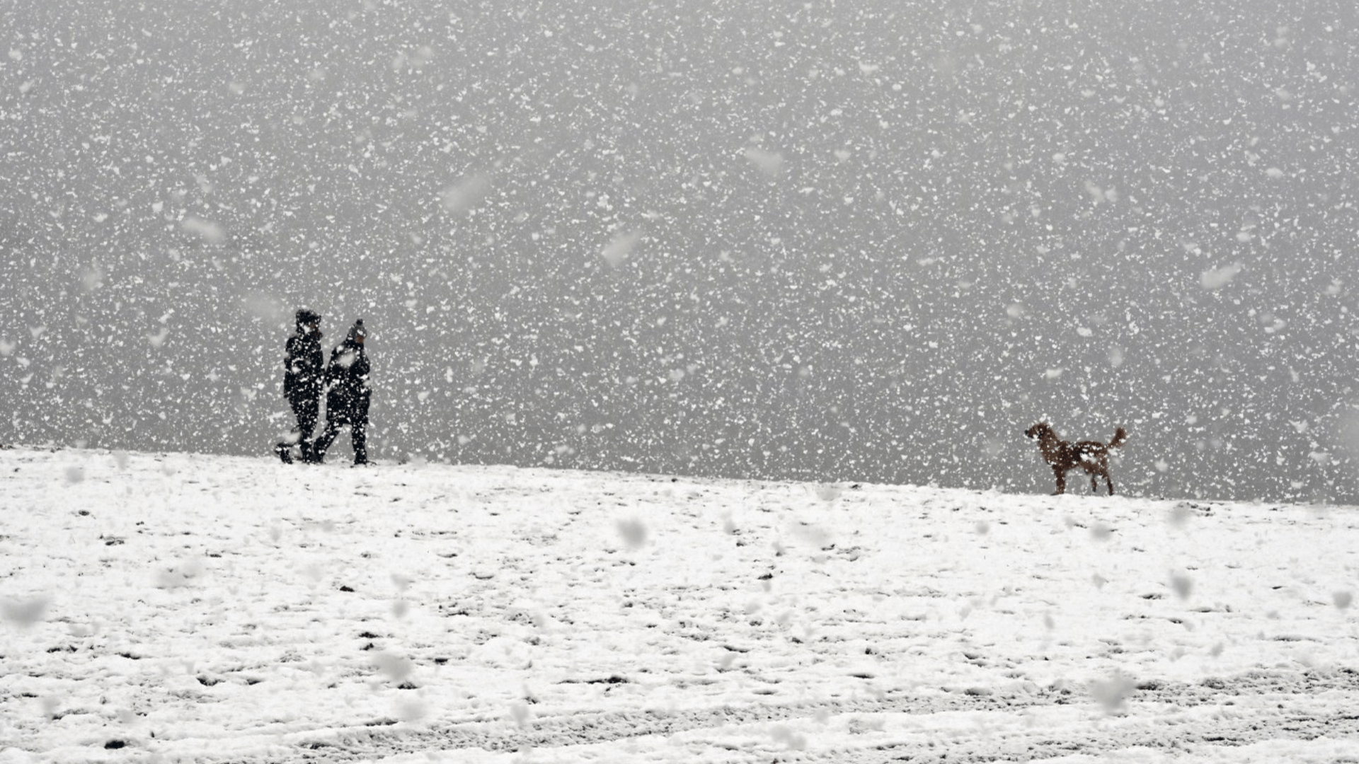 Full list of Scots cities to be blasted by blizzards as weather map reveals 4-7cm of snow on the way