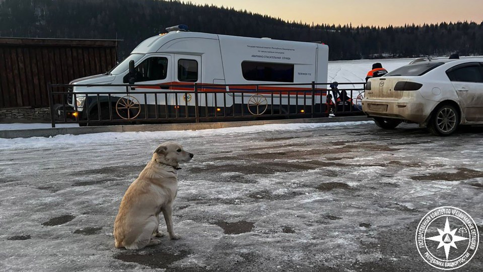 Belka waited for four days by a river in the Bashkiria region while Russia’s Emergency Services searched for her 59-year-old owner