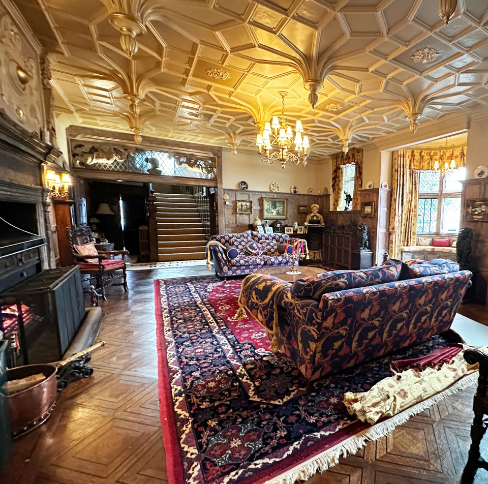 The living room has an open fire, enormous rug and patterned sofas