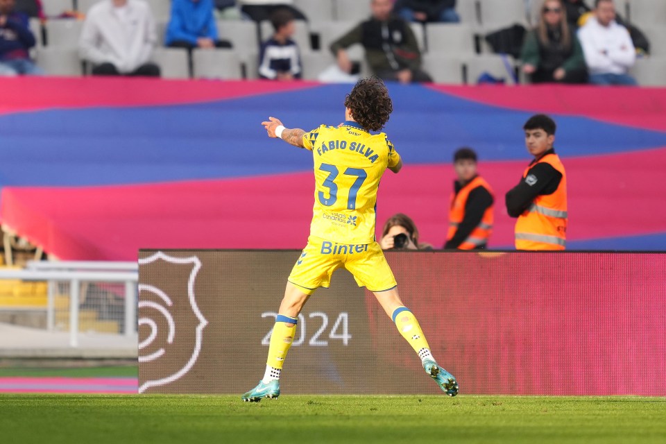 Fabio Silva celebrates his massive goal