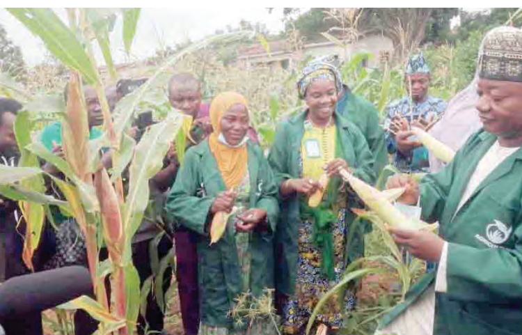 300 Kwara Schools Own Farms