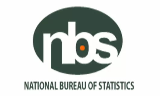 65% Of Nigerian Households Use Traditional Cooking Methods – NBS