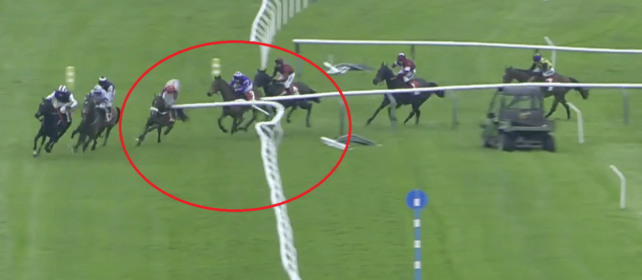 ABSOLUTE CARNAGE in Cheltenham Cross Country chase as horse smashes into rail moments after jockey takes wrong turn