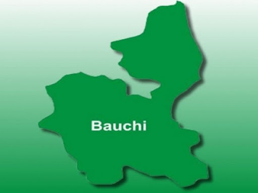 Bauchi Prioritises Health, Education In 2025 Budget