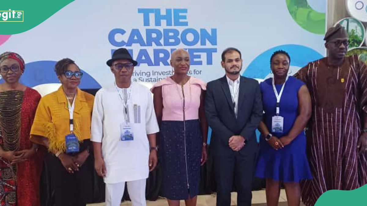 Deploying Carbon Market Power: Private Sector Leaders Chart Path for Sustainable Dvlpmt in Africa