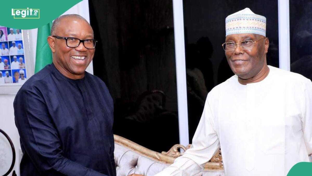 "Done and Dusted": Atiku Hosts Peter Obi in Adamawa as Preparations for 2027 Elections Peak