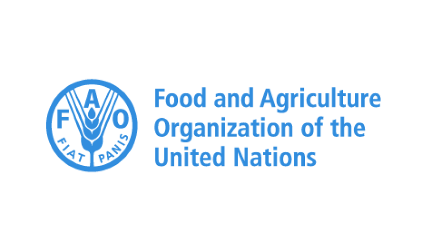 FAO Launches Dry Season Inputs Intervention To 50,000 Farmers In North-East