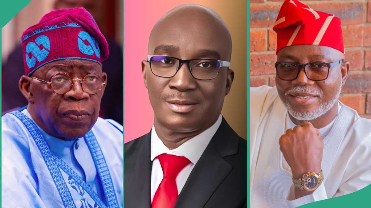 FULL LIST: APC Won 4 Out of 5 Guber Elections Conducted Under Tinubu’s Govt