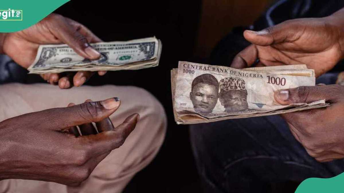 Fitch Predicts Nigerian Naira to Sink to Record Low in Four Years