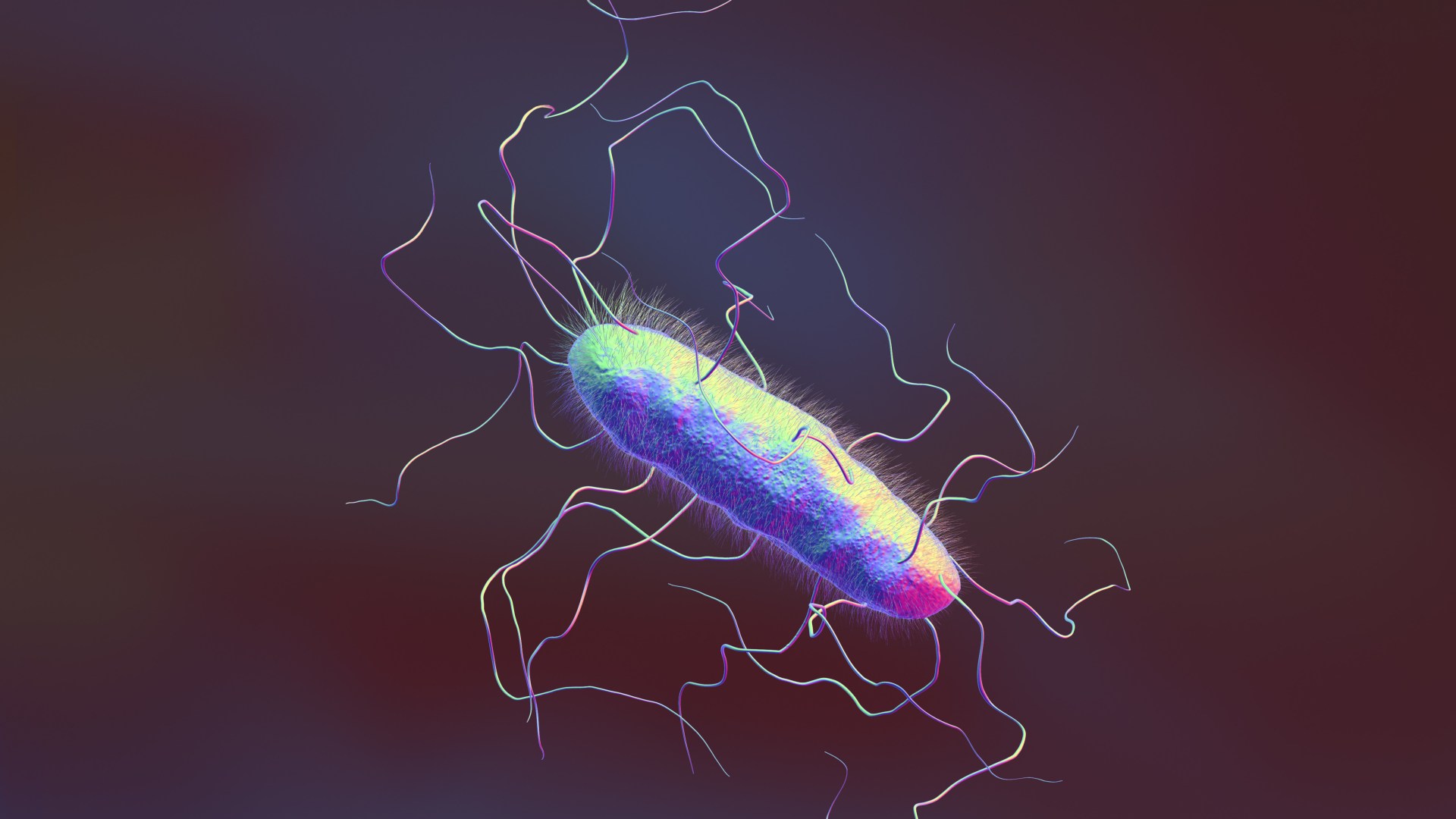 Scientists discover 'horror' food poisoning bug could cure cancer by 'stopping' killer cells in their tracks