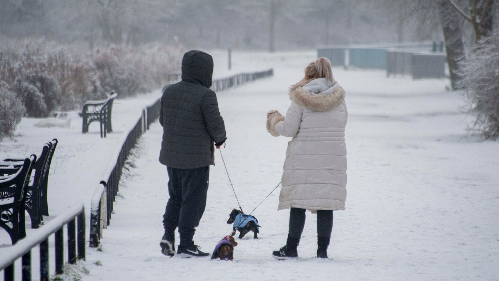 Scotland hit by three-day SNOW warning as freezing Arctic attack grips central belt in days