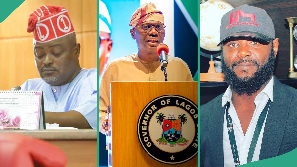 Seyi Tinubu or Obasa: Who Will Be Next Lagos Governor?