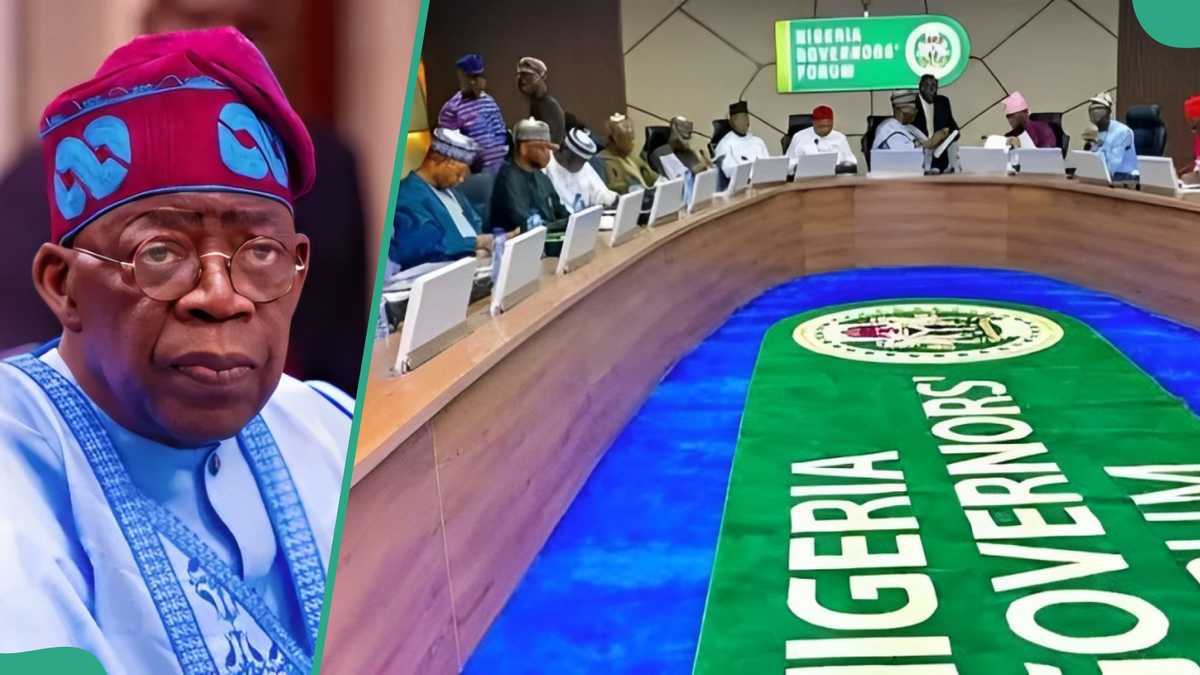 Tax Reform Bills: Tinubu Bows to 19 Govs' Pressure, Source Names Presidency's Next Step