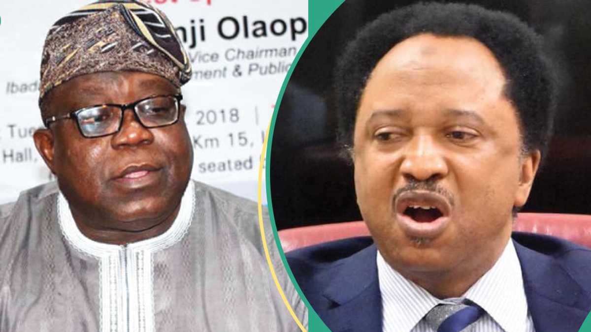 Togo, Benin Certificates: Tinubu's Govt Reacts as Shehu Sani Speaks on Alleged Civil Servants Sack