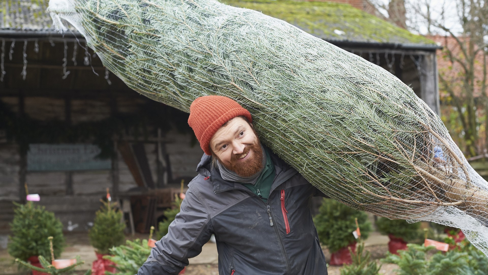 I got a £70 B&M Christmas tree for just £8 from an unexpected place everyone should check